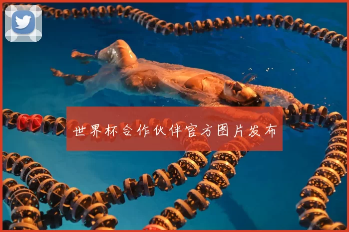 世界杯合作伙伴官方图片发布
