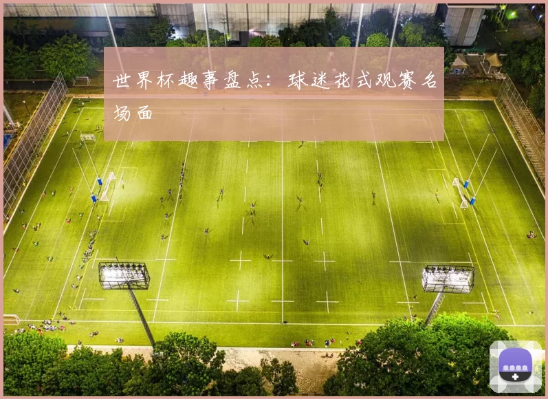 世界杯趣事盘点:球迷花式观赛名场面