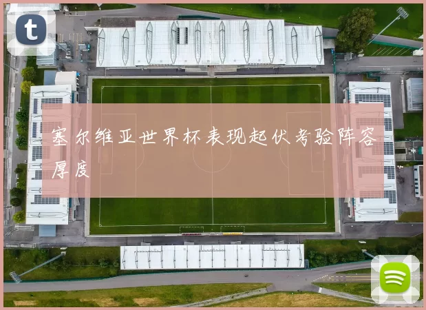 塞尔维亚世界杯表现起伏考验阵容厚度