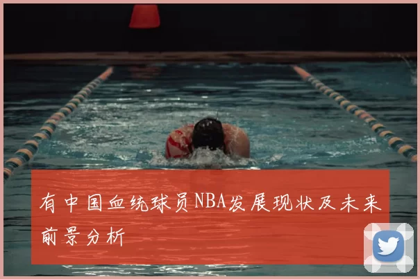 有中国血统球员NBA发展现状及未来前景分析