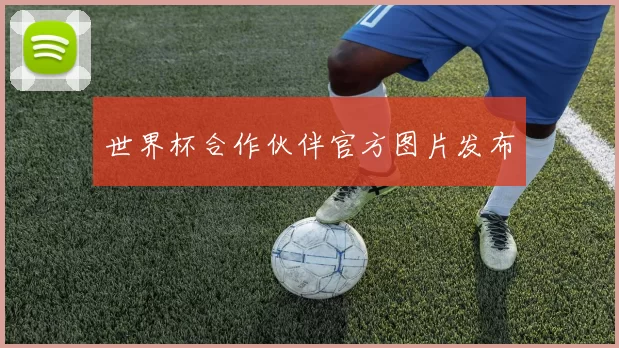 世界杯合作伙伴官方图片发布