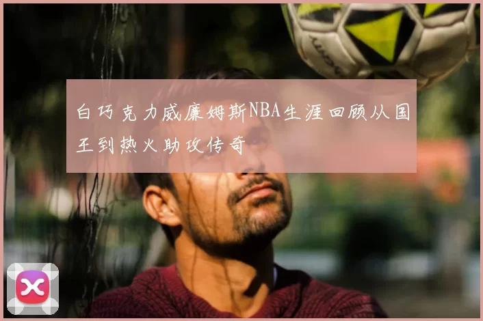 白巧克力威廉姆斯NBA生涯回顾从国王到热火助攻传奇