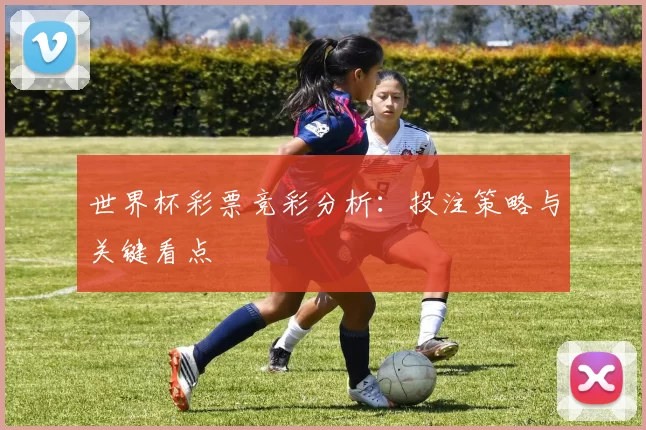 世界杯彩票竞彩分析：投注策略与关键看点
