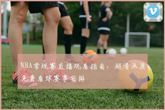 NBA常规赛直播观看指南，超清画质免费看球赛事安排