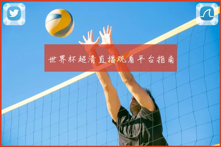 世界杯超清直播观看平台指南