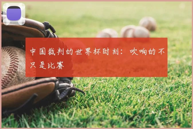 中国裁判的世界杯时刻:吹响的不只是比赛