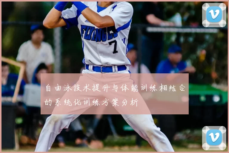 自由泳技术提升与体能训练相结合的系统化训练方案分析