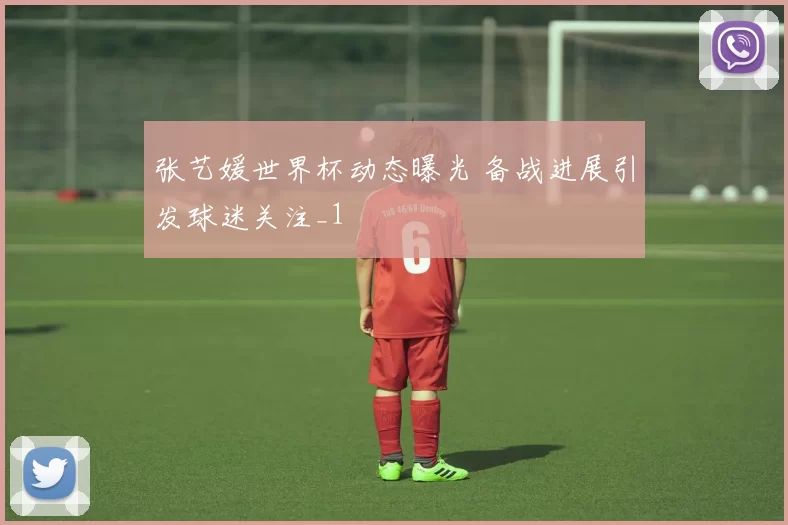张艺媛世界杯动态曝光 备战进展引发球迷关注_1