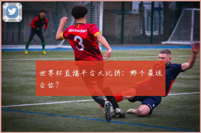 世界杯直播平台大比拼:哪个最适合你?
