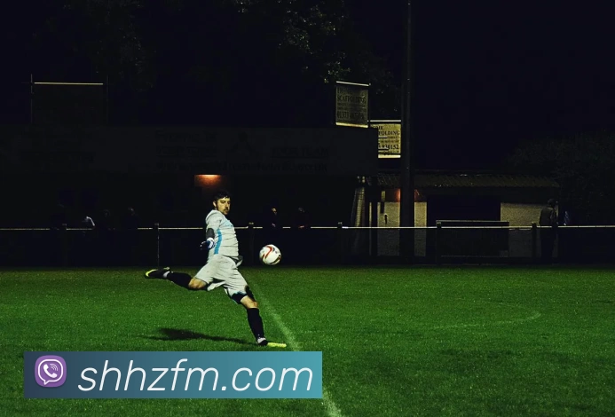 华体会发展历程